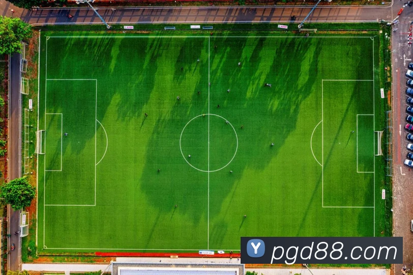 App Interface Preview