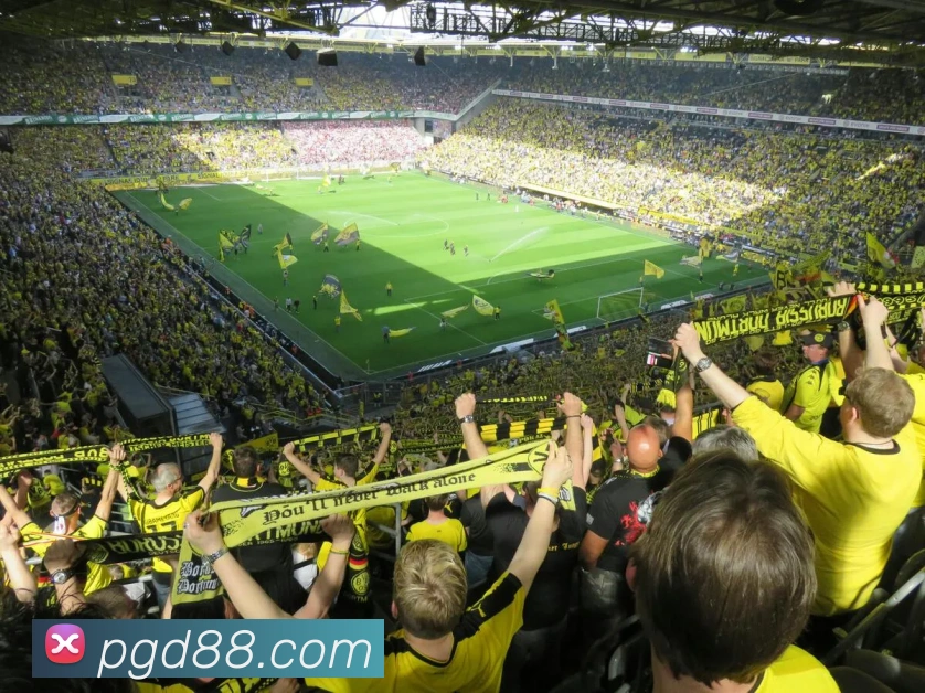 PG电子财神APP 封面图